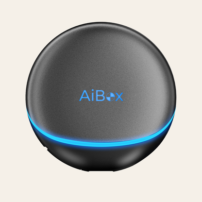 BMW ai box