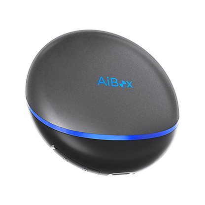 BMW ai box